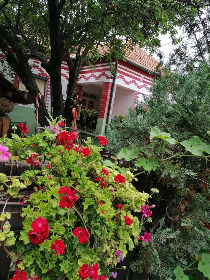 Etno Apartmani "Vlaska Kuca" Kladovo Exteriör bild