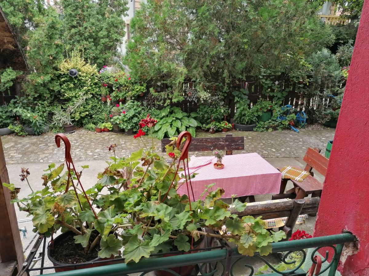 Etno Apartmani "Vlaska Kuca" Kladovo Exteriör bild